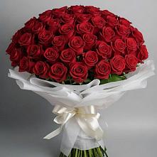 Букет 101 Красная роза Блэк Мэджик в Поповке Воронежской области