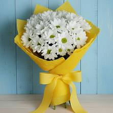 Букет цветов из:  Хризантемы в Поповке Воронежской области