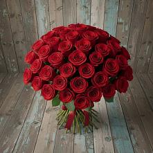 Букет 55 Красных роз Фридом #REPLACE_PRED# Поповке Воронежской области