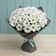 Букет цветов из:  Хризантемы в Поповке Воронежской области