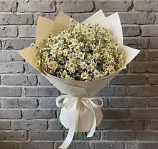 Букет цветов из:  Ромашки в Поповке Воронежской области