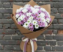 Букет цветов из:  Хризантемы в Поповке Воронежской области