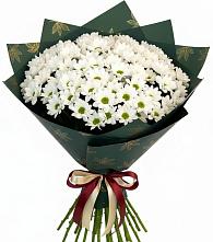 Букет цветов из:  Хризантемы в Поповке Воронежской области