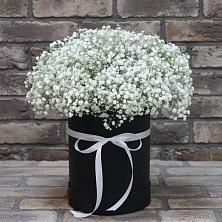 Цветочная композиция из Гипсофила в шляпной коробке в Поповке Воронежской области